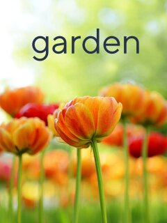 Phillip Watson Designs: Live Plants | Xfinity Stream