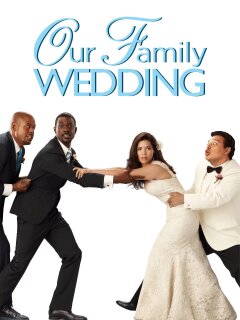 Everything You Need to Know About Our Family Wedding Movie (2010)